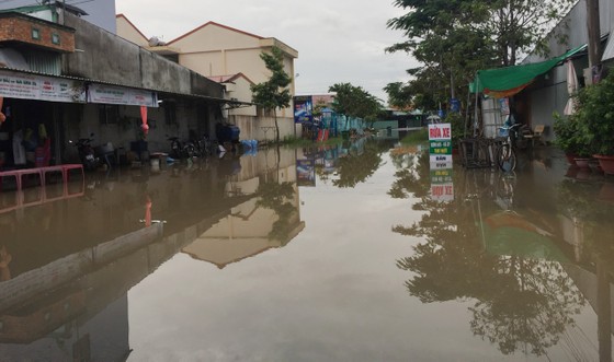 Hơn 2.500 căn nhà ở Vĩnh Long bị ngập do triều cường ảnh 1