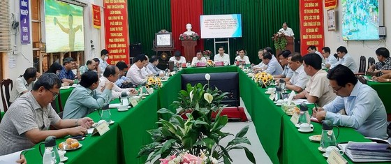 Nông dân sản xuất lúa đông xuân ở ĐBSCL được mùa, được giá ảnh 1