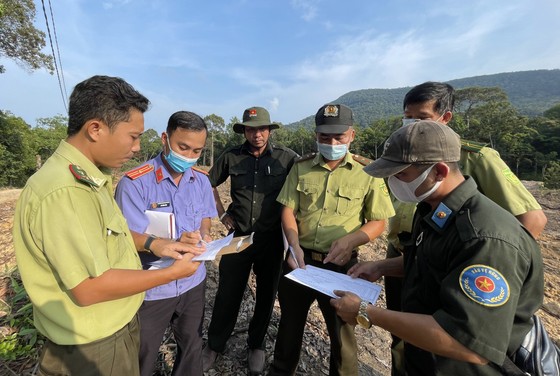 Kiên Giang: Lập tổ công tác đặc biệt để giữ rừng Phú Quốc ảnh 1