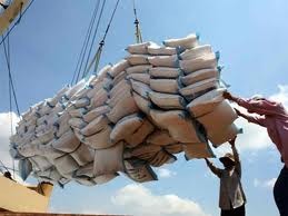 Giá gạo xuất khẩu ngược giá lúa nội địa ảnh 1