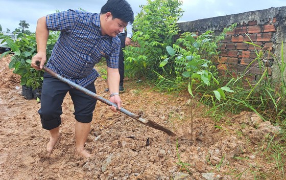 Phú Quốc phát động toàn dân tham gia trồng và bảo vệ rừng ảnh 1