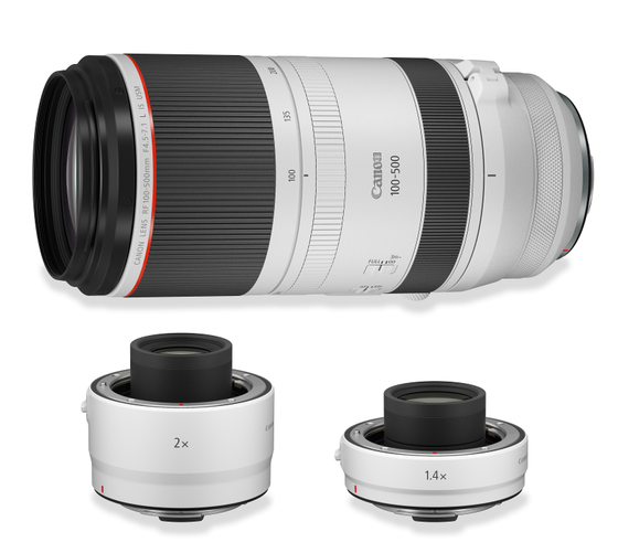 Canon sẽ phát triển máy ảnh không gương lật full-frame Canon EOS R5 và ống kính RF mới  ảnh 2