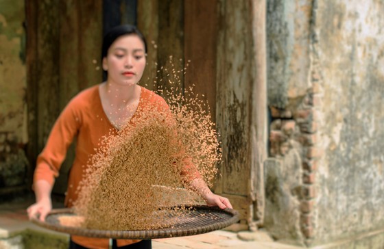 Dung dị và bình yên với 'Về miền ký ức' của sao mai Huyền Trang ảnh 2