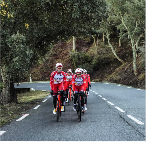 Tay đua Elia Viviani vượt qua bệnh tim trở lại với xe đạp ảnh 2