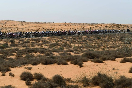 Xe đạp UAE Tour: Tadej Pogacar “nhả” bớt áo xanh cho Dekker ảnh 1