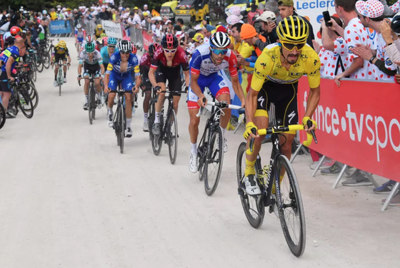 Julian Alaphilippe: “Nếu tôi cố thắng Tour de France thì sẽ là thảm hoạ” ảnh 2