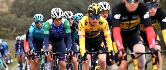 Fabio Jakobsen lần thứ hai thắng chặng tại Volta ao Algarve 2022 ảnh 1