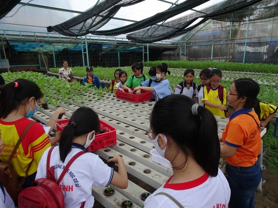 Học sinh hào hứng trải nghiệm trồng rau, chăm sóc thú qua Cuộc thi “Văn hay chữ tốt” do quận Tân Bình tổ chức  ảnh 4