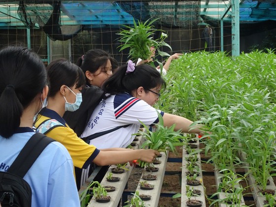 Học sinh hào hứng trải nghiệm trồng rau, chăm sóc thú qua Cuộc thi “Văn hay chữ tốt” do quận Tân Bình tổ chức  ảnh 5