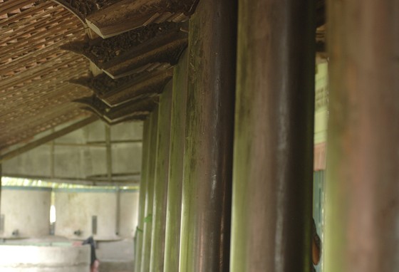 Độc đáo nhà trăm cột bằng gỗ quý tại Đồng Tháp ảnh 14