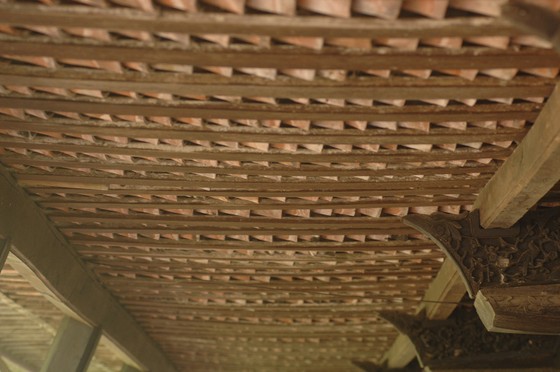 Độc đáo nhà trăm cột bằng gỗ quý tại Đồng Tháp ảnh 10