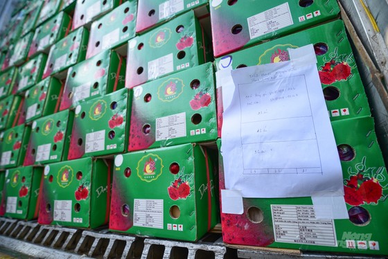 Hơn 4.300 xe hàng hóa bị ùn ứ tại các cửa khẩu Lạng Sơn ảnh 3 Hơn 4.300 xe hàng hóa bị ùn ứ tại các cửa khẩu Lạng Sơn ảnh 2