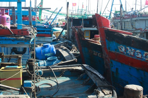 Quảng Ngãi: Tàu cá không thể ra khơi vì luồng lạch bị bồi lấp ảnh 3