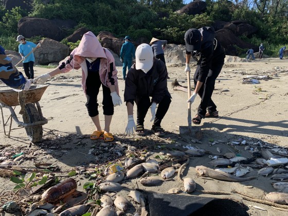 Quảng Ngãi: Chôn lấp hơn 5 tấn cá nuôi lồng bè bị chết sau bão số 5 ảnh 8