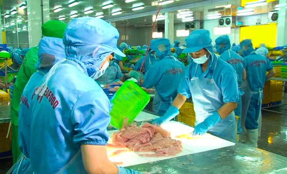 Ổ dịch tại một công ty thủy sản ở Cần Thơ có hơn 150 F0 ảnh 1 Ổ dịch tại một công ty thủy sản ở Cần Thơ có hơn 150 F0 ảnh 1