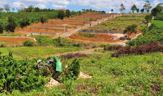 Lâm Đồng xử lý nhiều cán bộ liên quan tách thửa, quản lý đất đai ảnh 2