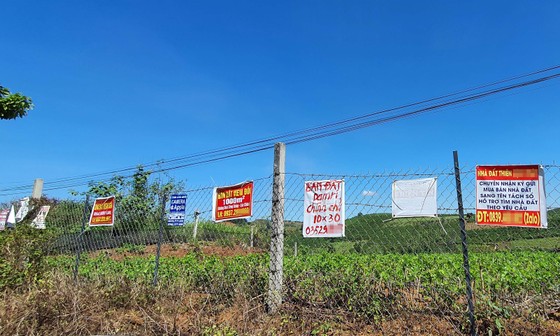 Lâm Đồng xử lý nhiều cán bộ liên quan tách thửa, quản lý đất đai ảnh 4