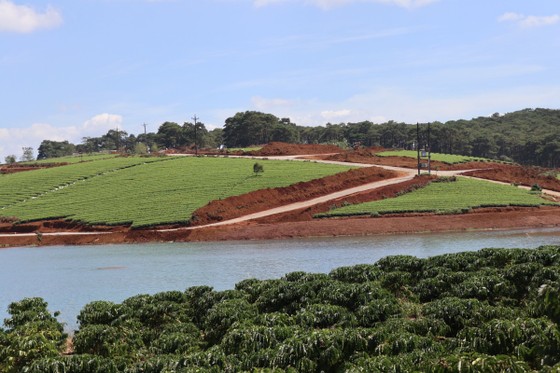 Lâm Đồng xử lý nhiều cán bộ liên quan tách thửa, quản lý đất đai ảnh 3