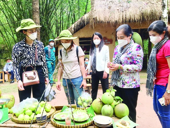 TPHCM thí điểm đón khách đến Cần Giờ, Củ Chi: An toàn vẫn trên hết ảnh 1