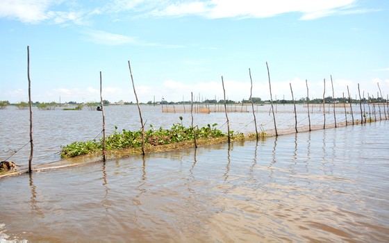 Mưu sinh mùa lũ muộn ảnh 1