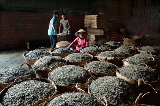 Thú vị nghề đánh lưới vây ảnh 5 Thú vị nghề đánh lưới vây ảnh 5