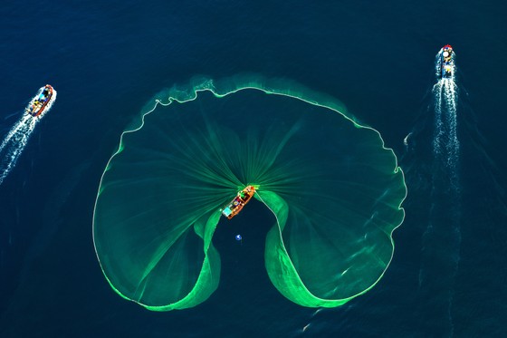 Thú vị nghề đánh lưới vây ảnh 1 Thú vị nghề đánh lưới vây ảnh 1