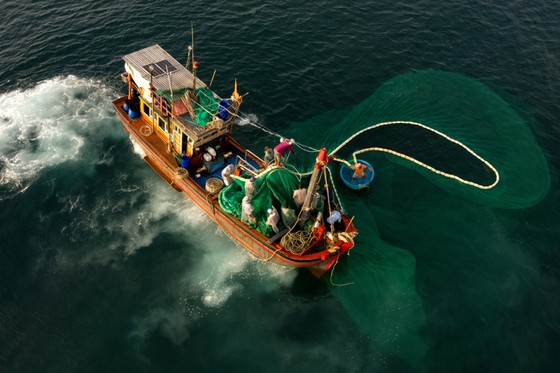 Thú vị nghề đánh lưới vây ảnh 2 Thú vị nghề đánh lưới vây ảnh 2