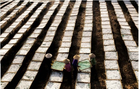 Thú vị nghề đánh lưới vây ảnh 7 Thú vị nghề đánh lưới vây ảnh 7