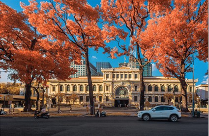 Thành phố tôi yêu ảnh 3