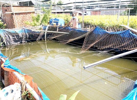 Đồng bằng sông Cửu Long: Trữ ngọt, phòng hạn mặn ảnh 1 Đồng bằng sông Cửu Long: Trữ ngọt, phòng hạn mặn ảnh 1