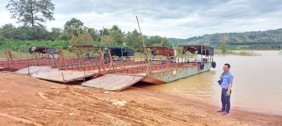 Người dân Gia Lai bị cấm sang sông qua Kon Tum thu hoạch dù lúa chín thối đồng ảnh 1