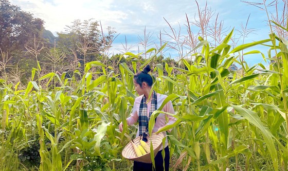 Hành trình nông sản Việt của hai cô gái trẻ ảnh 4 Hành trình nông sản Việt của hai cô gái trẻ ảnh 3