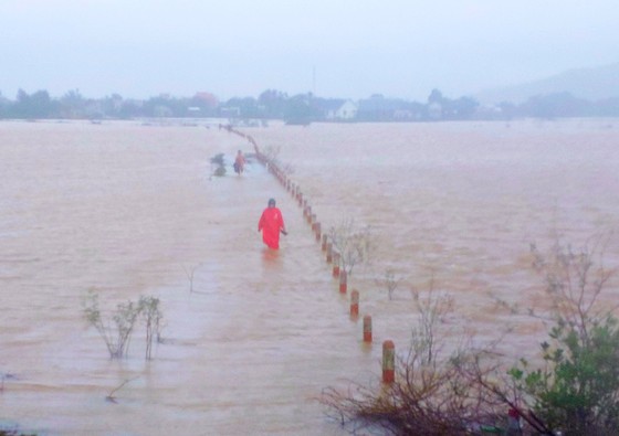 Mưa lũ tàn phá nặng nề ở Bình Định, 1 người bị lũ cuốn trôi ảnh 2 Mưa lũ tàn phá nặng nề ở Bình Định, 1 người bị lũ cuốn trôi ảnh 2