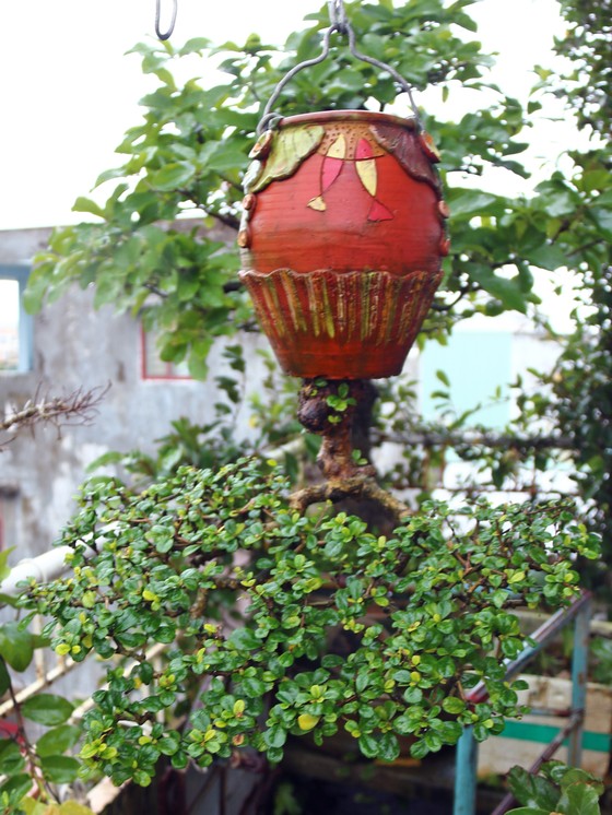 Khám phá vườn bonsai mọc ngược giữa phố ảnh 19