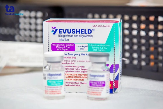 Mở cổng đăng ký tiêm kháng thể đơn dòng Evusheld ngừa Covid-19 ảnh 1