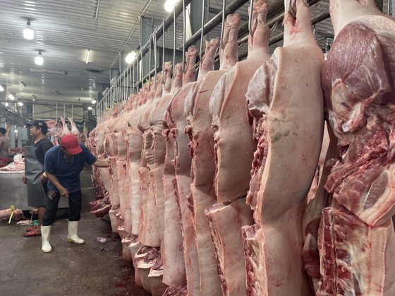 Bộ trưởng Bộ NN- PTNT đi thị sát chợ đầu mối Bình Điền ảnh 3