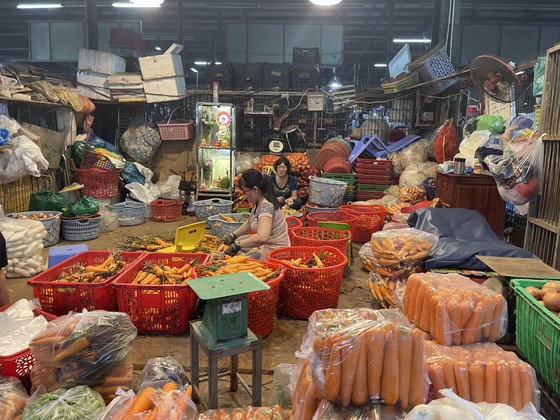 Bộ trưởng Bộ NN- PTNT đi thị sát chợ đầu mối Bình Điền ảnh 2