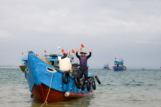 Ngư dân Quảng Ngãi trúng đậm mùa ruốc cuối năm ảnh 12