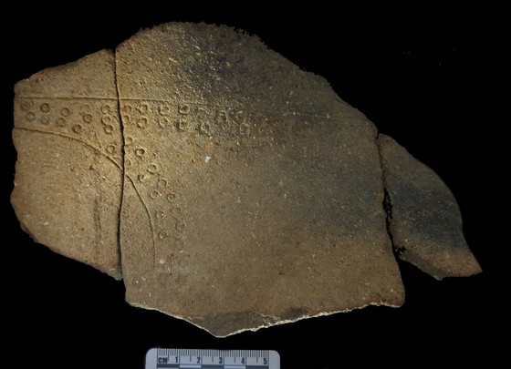 Những phát hiện mới về mộ chum ở hồ Nước Trong trong văn hóa Sa Huỳnh ảnh 12