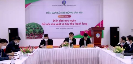 Xuất khẩu thanh long: Tắc đường bộ, chuyển sang đường biển ảnh 3 Xuất khẩu thanh long: Tắc đường bộ, chuyển sang đường biển ảnh 3