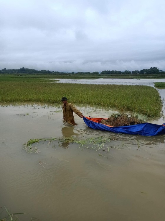 Miền Bắc: Nhiều nơi đường thành sông, ô tô “bơi” trong nước ảnh 10 Miền Bắc: Nhiều nơi đường thành sông, ô tô 'bơi' trong nước ảnh 10