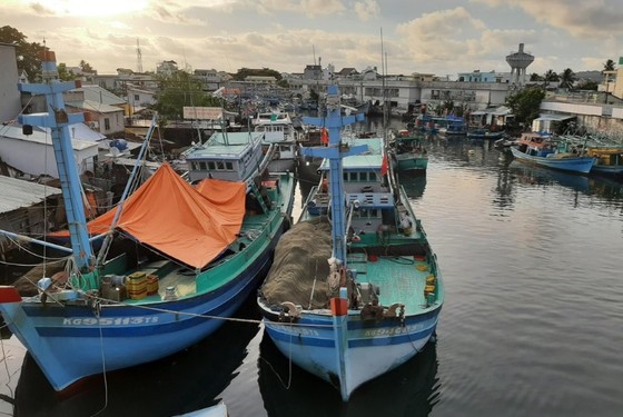 Bộ trưởng Bộ Công thương đề xuất bù giá xăng dầu cho người dân bằng ngân sách ảnh 1 Bộ trưởng Bộ Công thương đề xuất bù giá xăng dầu cho người dân bằng ngân sách ảnh 1