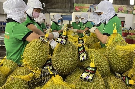Nông sản Việt Nam cần làm gì để vào thị trường Trung Quốc? ảnh 3 Nông sản Việt Nam cần làm gì để vào thị trường Trung Quốc? ảnh 3