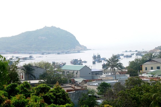 Vinh danh 'Thảo nguyên cây gai' có một không hai tại Việt Nam ảnh 5