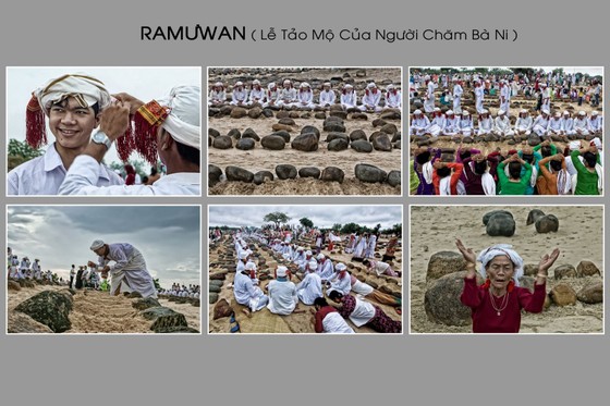 Vinh danh 'Thảo nguyên cây gai' có một không hai tại Việt Nam ảnh 6