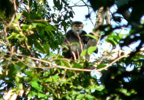 Vinh danh “Thảo nguyên cây gai” có một không hai tại Việt Nam ảnh 4 Vinh danh 'Thảo nguyên cây gai' có một không hai tại Việt Nam ảnh 4