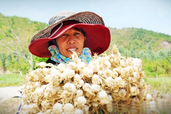 Độc lạ OCOP miền Trung ảnh 4 Độc lạ OCOP miền Trung ảnh 4