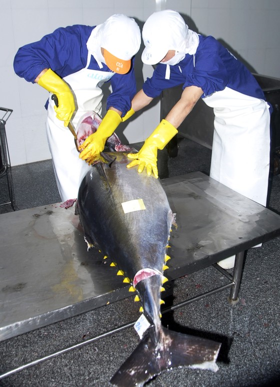 Độc lạ OCOP miền Trung ảnh 5 Độc lạ OCOP miền Trung ảnh 5