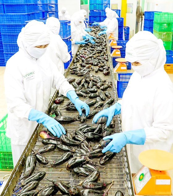 Hối hả sản xuất sau kỳ nghỉ tết ảnh 2 Hối hả sản xuất sau kỳ nghỉ tết ảnh 2