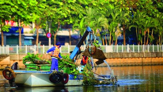 Xử phạt nghiêm để chặn hành vi vứt rác bừa bãi - Bài 1: Thói quen xấu khó bỏ ảnh 1